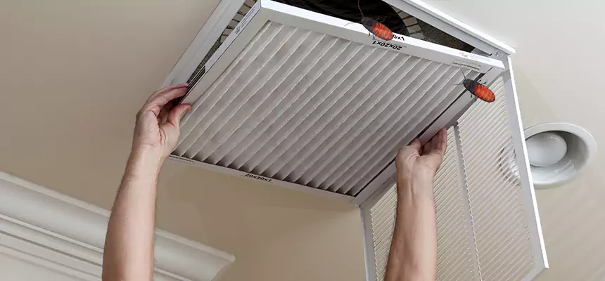 Preventive Cockroach-Proofing for Ducts in Fridley