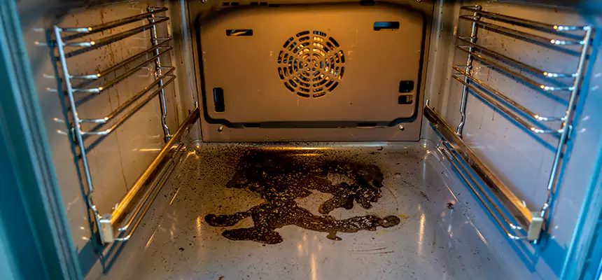 Our Dryer Vent Mold Cleaning Services in Fridley, MN