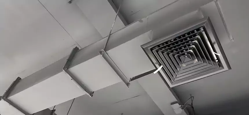 Our Rodent Droppings In Vents Services in Fridley, MN