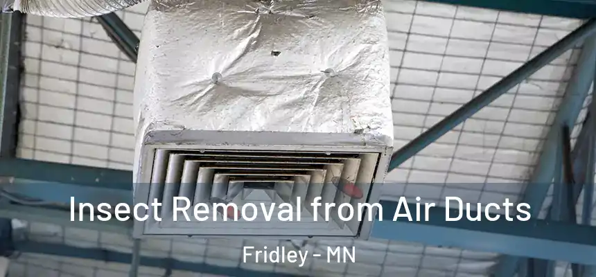Insect Removal from Air Ducts Fridley - MN
