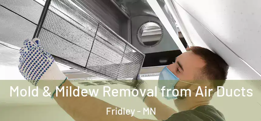  Mold & Mildew Removal from Air Ducts Fridley - MN