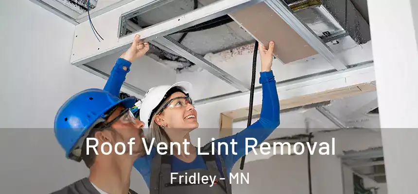  Roof Vent Lint Removal Fridley - MN