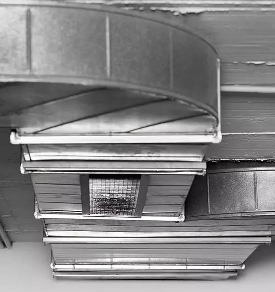 Professional Air Duct Pet Hair Removal in Fridley, MN