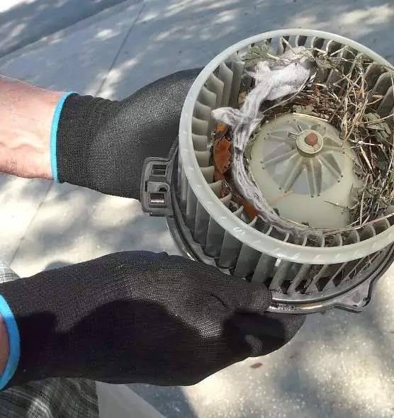 About Air Duct Rat Removal in Fridley, MN