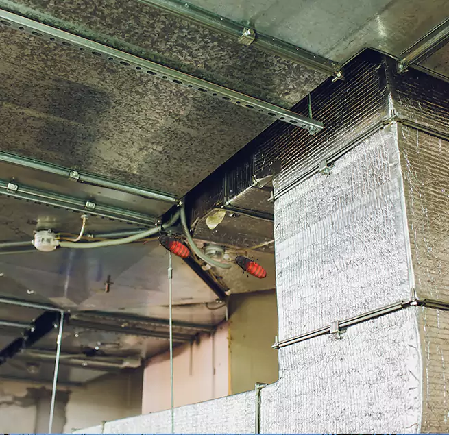 Why Homeowners & Businesses Trust Us in Fridley, MN?