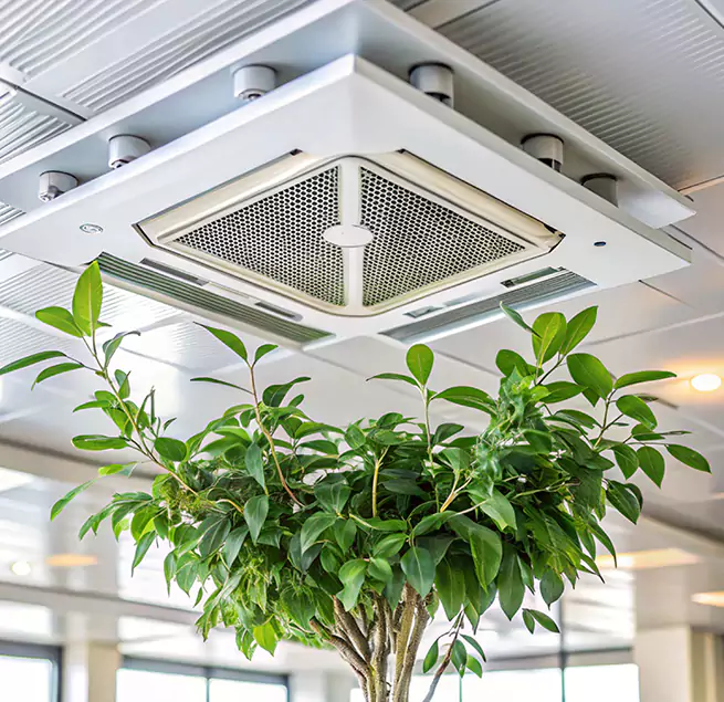 Why Homeowners & Businesses Trust Us in Fridley, MN?