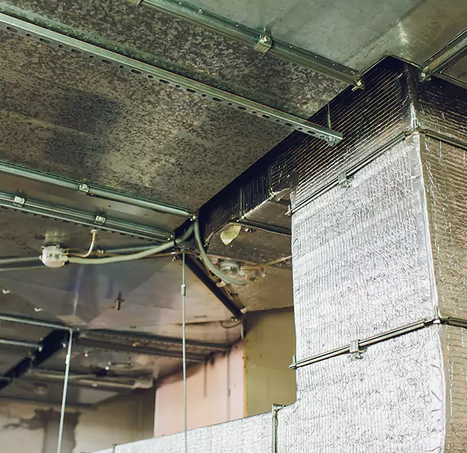 Why Homeowners & Businesses Trust Us in Fridley, MN?